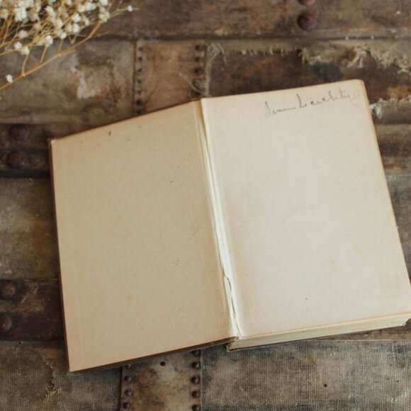 Vintage 1910s Book, "The Young Forester" by Zane Grey, Grosset and Dunlap Editio - Picture 5 of 10